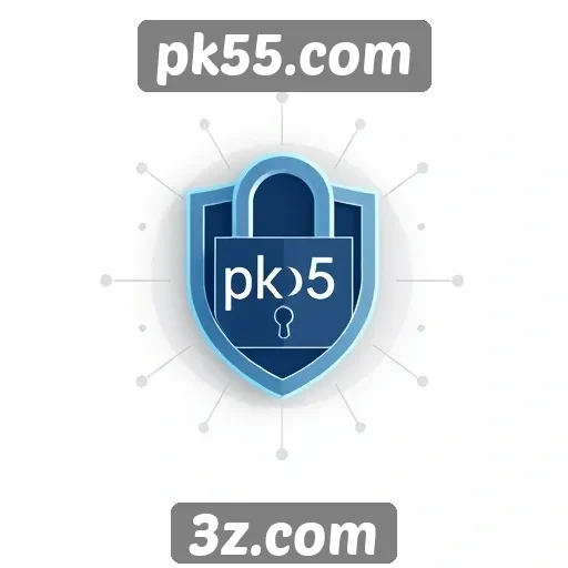 Avaliação da segurança e proteção de dados em pk55.com
